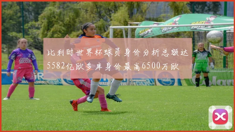 比利时世界杯球员身价分析总额达5582亿欧多库身价最高6500万欧