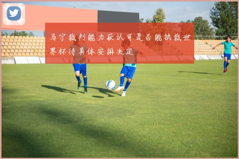 马宁裁判能力获认可是否能执裁世界杯待具体安排决定